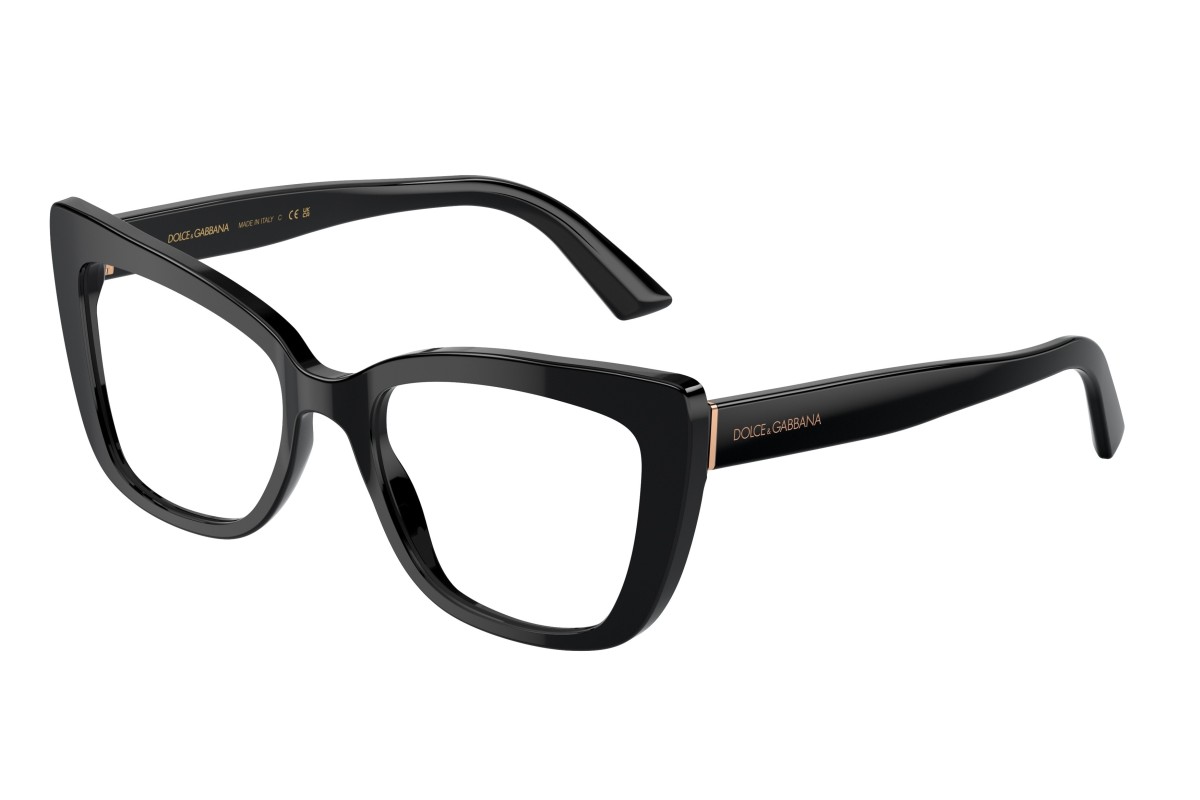 Dolce & Gabbana 3308