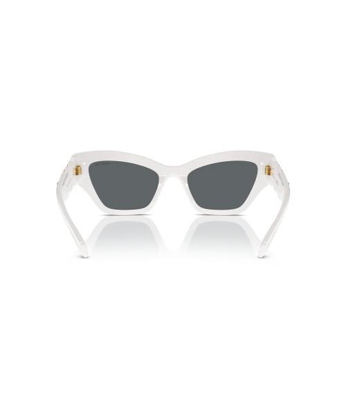 Swarovski 6021