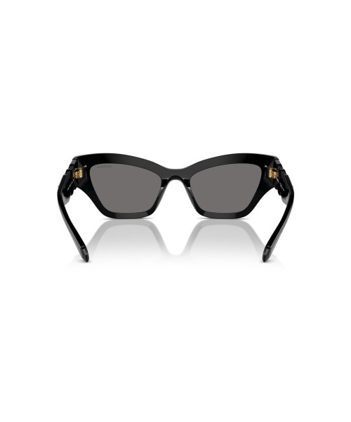 Swarovski 6021