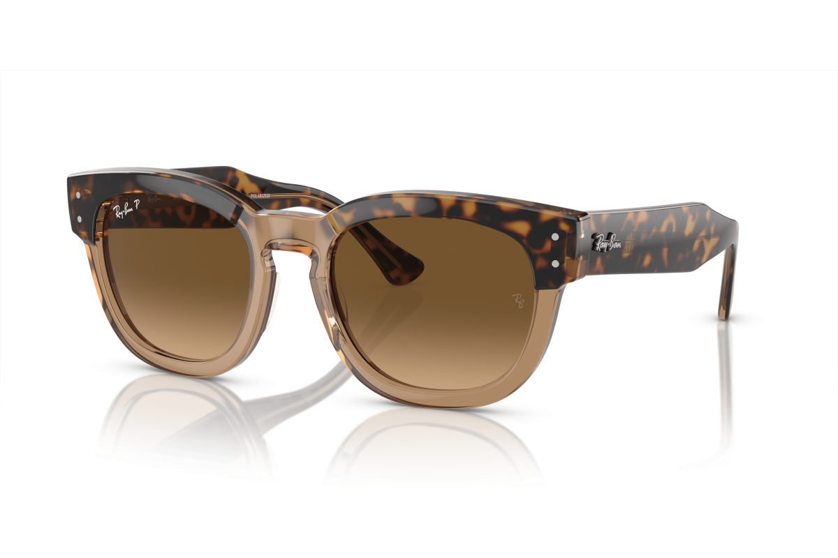 Ray-Ban 0298S - MEGA HAWKEYE