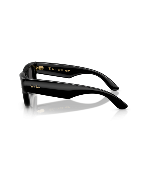 A$AP ROCKY x RAY BAN RB 4940 -WAYFARER PUFFER