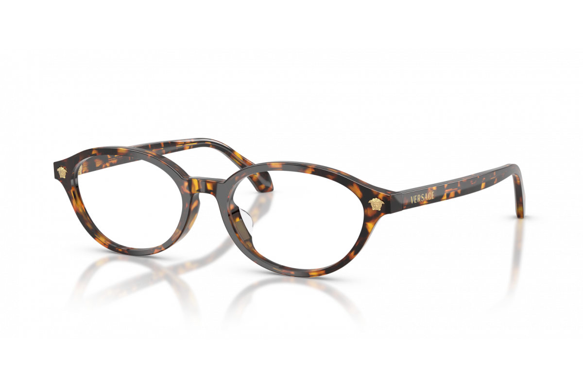 Versace 3393D