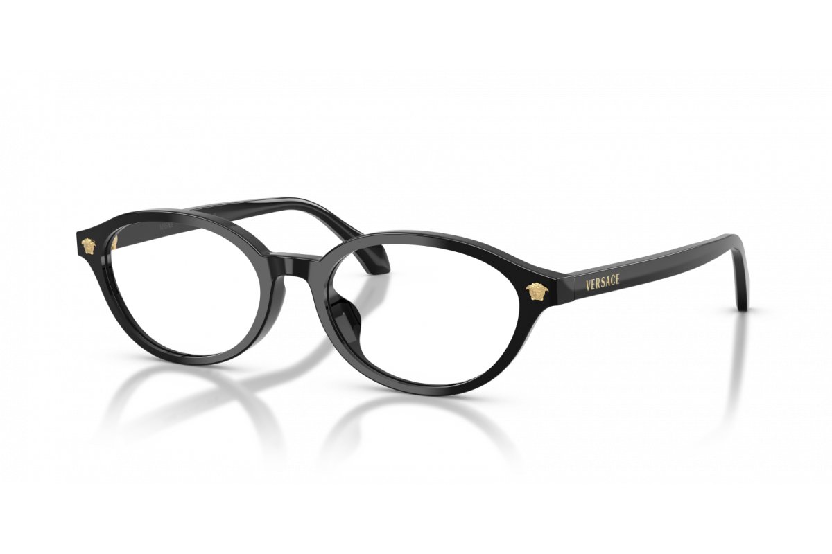 Versace 3393D