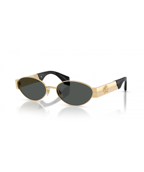 Versace 2301