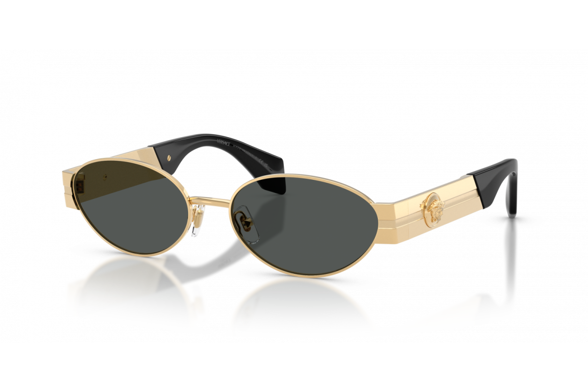 Versace 2301