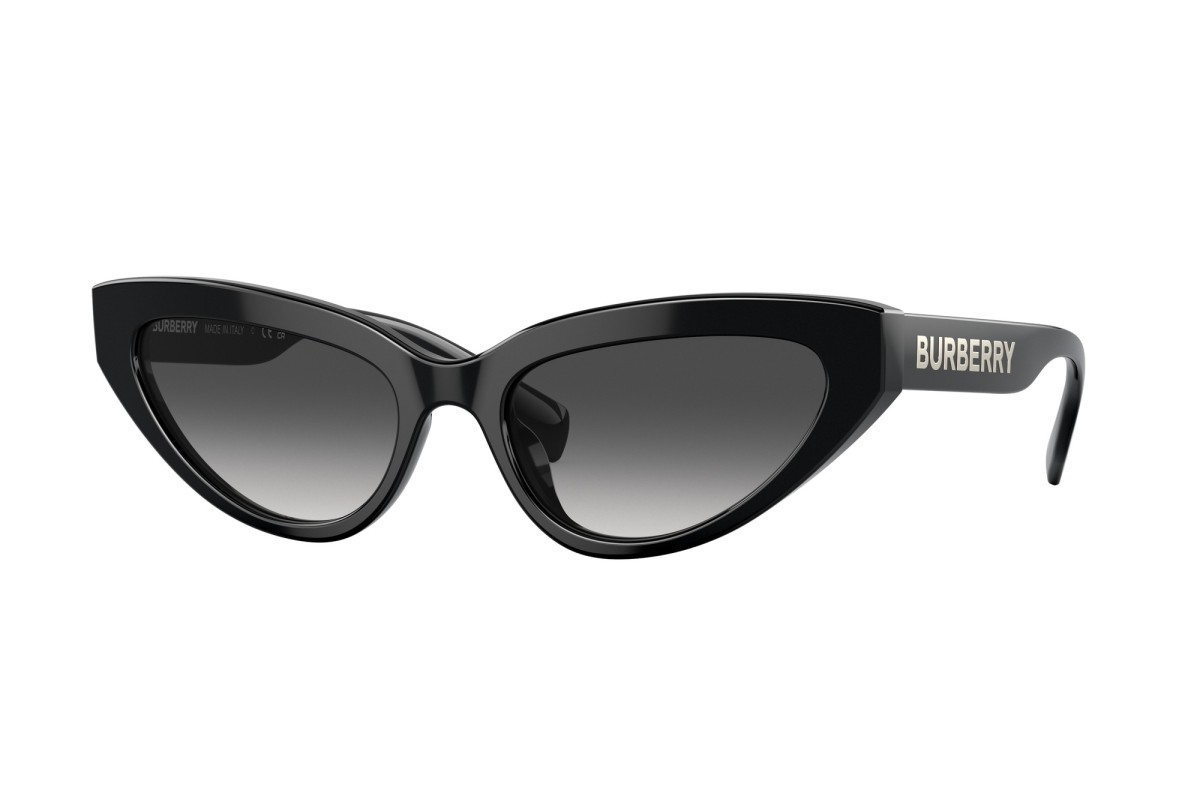 Burberry 4373U